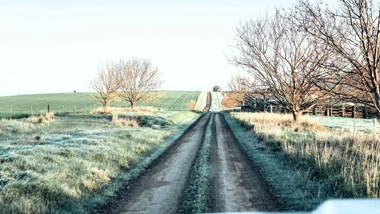 A car driving down a dirt road in a field.