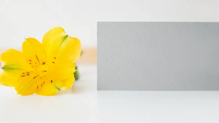 A yellow flower next to a grey card.